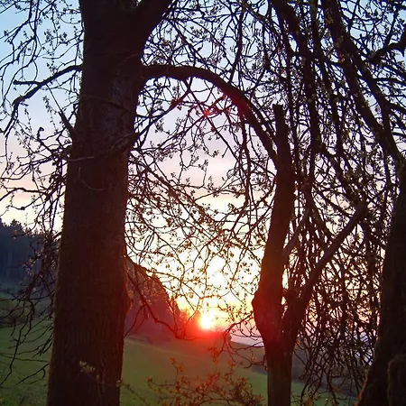 Kaisers Apartament *